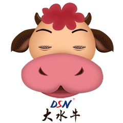 边坡人工巡视内容及方法