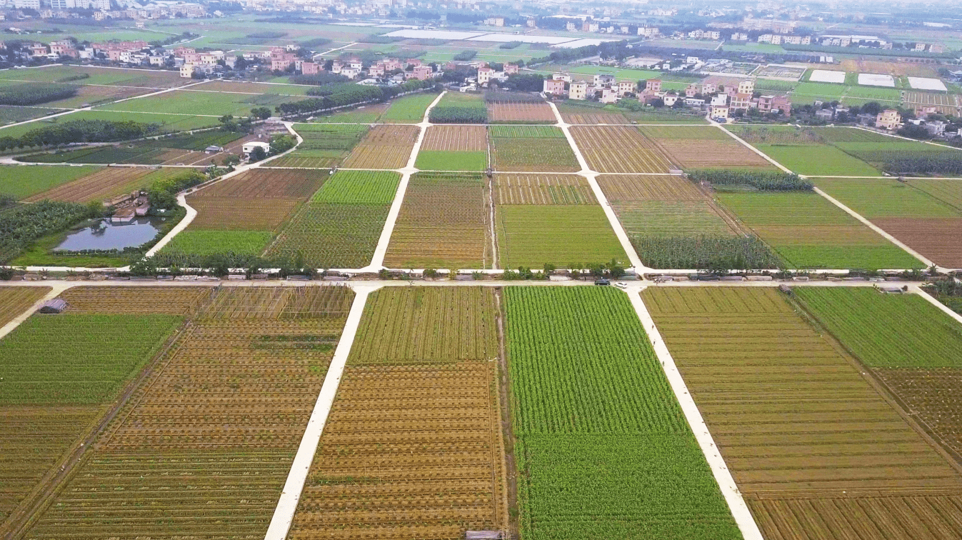 测绘行业中的卫片执法,你知道是什么吗?