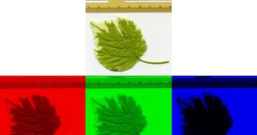 在学ENVI的小伙伴看过来!真彩色、假彩色、伪彩色区别在哪?