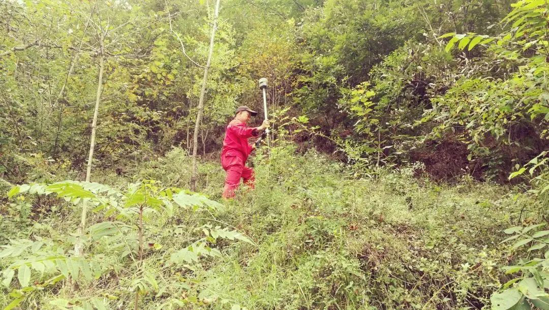 林区作业安全注意事项，测绘人的野外安全作业指南！