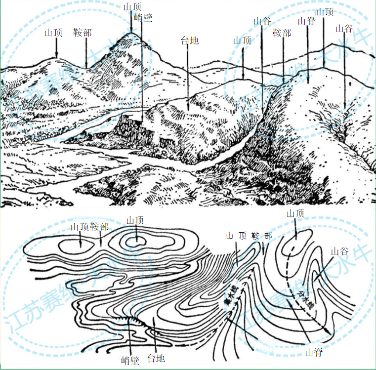 赛维板报|地貌及等高线！